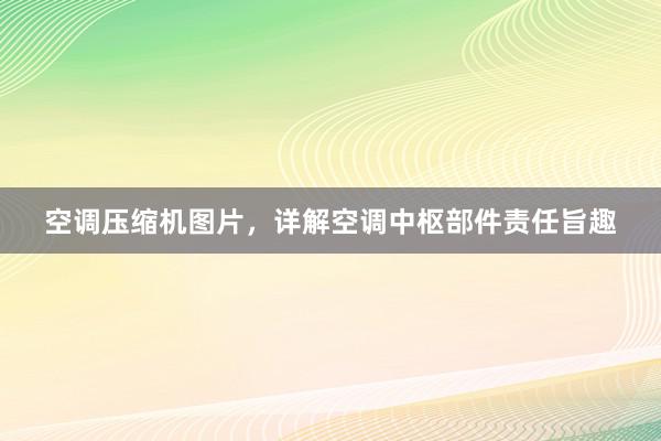 空调压缩机图片，详解空调中枢部件责任旨趣